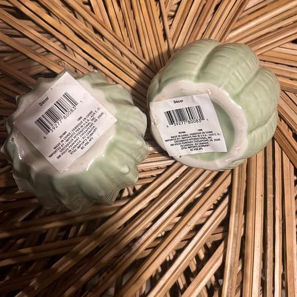 Set Of Cute Little Cactus Succulent Plants Garden Home Office Decor Paperweight - Picture 7 of 7